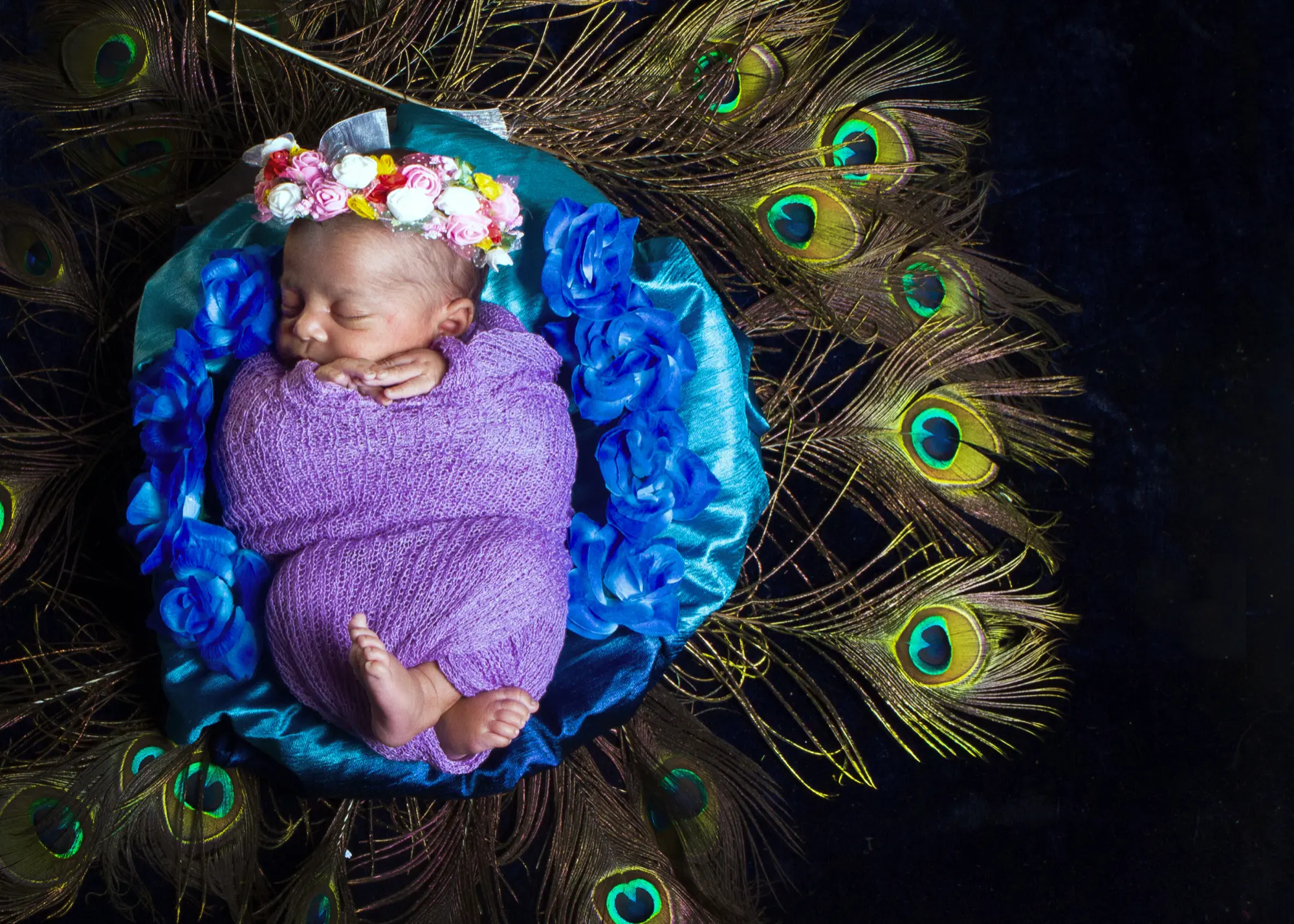 Sleeping newborn wrapped in lilac with a flower crown, nestled in blue roses on a fan of peacock feathers, newborn photography by Vivek Pankaj