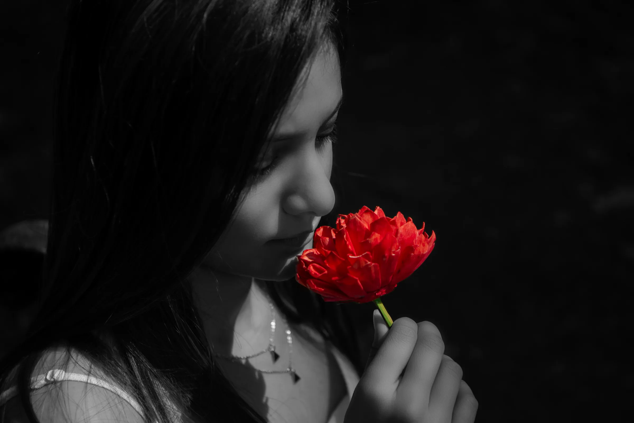 Black-and-white portrait of a young woman holding a red rose, selective-colour portrait, portrait photography by Vivek Pankaj